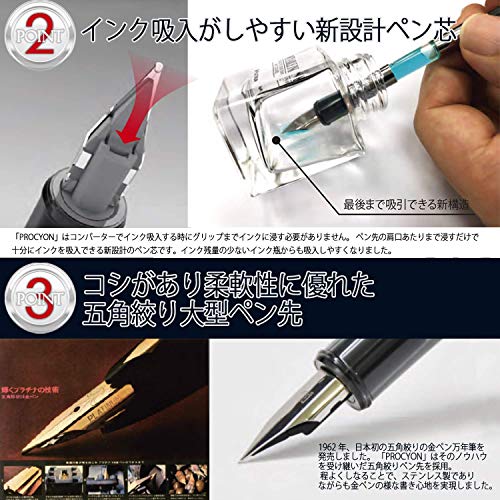 Image of Platinum Fountain Pen PROCYON Deep Sea PNS-5000 Nib: Medium