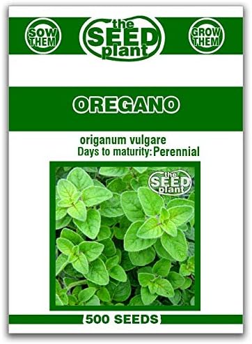 Oregano Seeds - 500 Seeds Non-GMO
