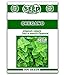Oregano Seeds - 500 SEEDS NON-GMO