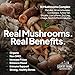 Country Farms Super Greens Natural Flavor, 50 Organic Super Foods, USDA Organic Drink Mix, Fruits, Vegetables, Super Greens, with Fiber, Mushrooms & Probiotics, Supports Energy, 60 Servings, 900g