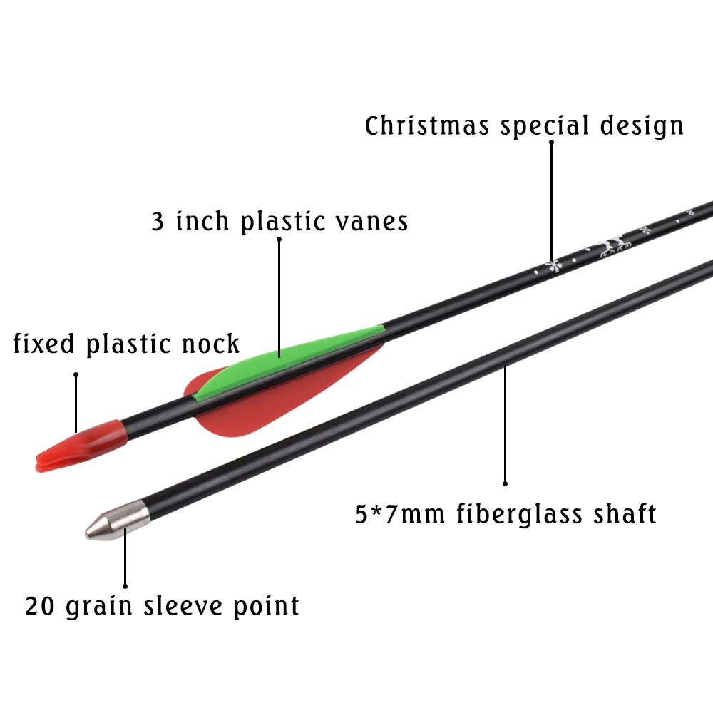 Lot de 12 flèches en fibre de verre pour tir à l'arc de 30 cm - 500 - Pour la chasse et la cible - Pratique de tir
