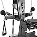 BowFlex Blaze Home Gym
