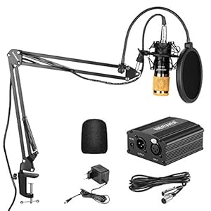 Neewer NW-800 Condensatormicrofoonset met 48 V fantoomvoeding, schaararm, standaard met schokmontage en popfilter, XLR…