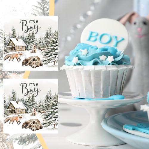 Servilletas de papel para celebrar la dulce llegada del nuevo miembro de la familia 7