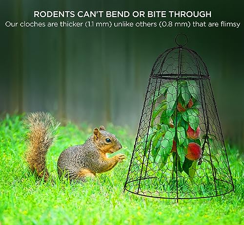 boldworks Garden Cloches for Plants Chicken Wire Cages to Protect from Animals Outdoor Extra Large Rustproof Thicker and Finer Mesh 12" x 20" Pack of 6