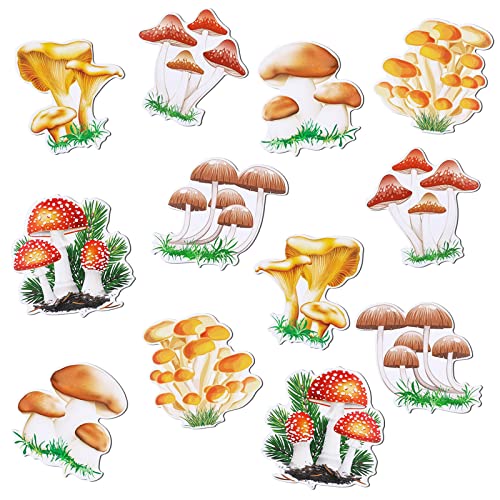 Set 12 Imanes Decorativos de Hongo para Refrigerador miniatura 1