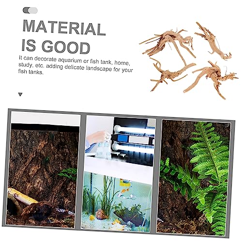 Bois Naturel pour Aquarium : 4 Décorations Uniques pour Terrarium et Poissons - 7