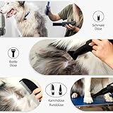 TRIGRAND B0F4D5LGWW lato 4