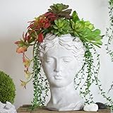 Female Statue Head Cement Planter, Greek/Roman Style Creative Portrait Cement Flower Pot, Unique Planter Pot for Indoor Outdoor Home Garden Decor (7" D x 11" H)