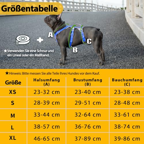 Huntboo Sicherheitsgeschirr Hund Ausbruchsicher, Panikgeschirr für Hunde, Reflektierendes Geschirr mit Gepolstertem Griff, Verstellbare Weste für Kleine Hunde, die Spazieren Gehen (Meeresblau,S)