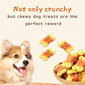 Dog Treats Chicken Wrapped Pumpkin Biscuits, Rawhide and Gluten Free, w/Taurine Low Fat Chewy Training Treats,12.5 oz Dog Treats Chicken Wrapped Pumpkin Biscuits Rawhide and Gluten Free wTaurine Low Fat Chewy Training Treats125 oz