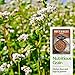 Buckwheat Seed for Planting - 1 Packet with Instructions to Plant & Grow a Cover Crop & Buckwheat Grain Plants in Your Home Vegetable Garden - Non-GMO Heirloom Variety - Survival Garden Seeds