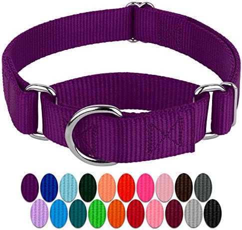 Country Brook Petz - Purple Martingale Heavy Duty Nylon Dog Collar - 21 Vibrant Color Options (3/4 Inch Width, Small)