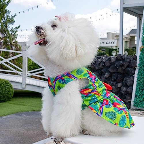 Image of CuteBone Dog Mesh Dress Puppy Sundress Pet Outfit Summer Fashion for Small Dogs Girl Cat Clothes