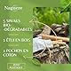 Naguère Siwak Naturprodukt mit Etui, Set mit 5 Miswak Stäbchen für die Reinigung der Zähne, ohne Konservierungsstoffe