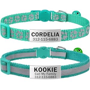 TagME 2 Pack Cat Collar with Name Tag and Bell, Personalized Quick Release Kitten Collar with Silent Slide On ID Tags for Boy and Girl Cat, Teal