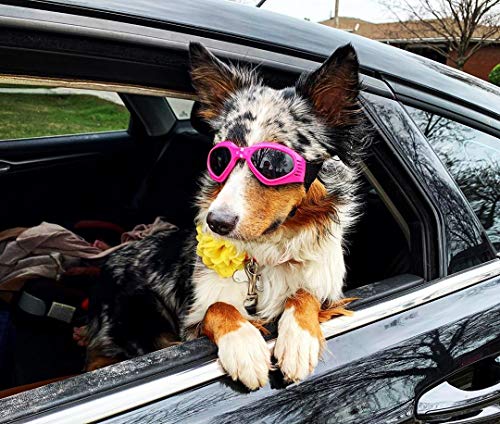 Petleso Dog Goggles Medium Breed, Pet Sunglasses for Medium Dogs Eye Protection Windproof, Pink - Image 7