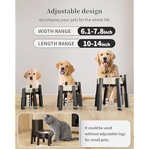 Czpet dog water dispenser stand holder for pet automatic feeders width and height adjustable elevated stand for pet feerders suitable for large dogs stand only   cucciolini doodles