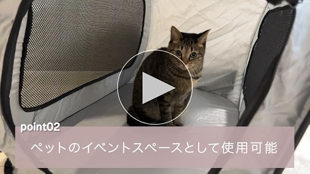 ねこページ 復刻版 ネコの本 | 書籍 | ナショナル ジオグラフィック ねこページ 復刻版 ネコの本 | 書籍 | ナショナル ジオグラフィック