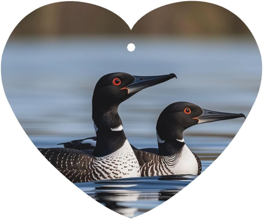 Loon Birds Car Air Fresheners Cards Set of 4 Pieces, Long-Lasting Auto Aromatherapy Tablets Gifts Car Rearview Mirror Pendant Hanging Scented Cards for Wardrobe Bathroom