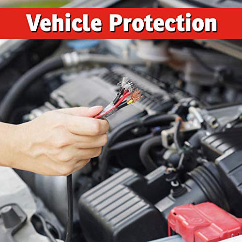 Imustgarden 0181998000347 I Must Garden Squirrel Repellent: Protects Vehicles thumb #8
