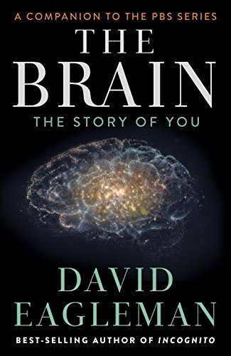 [The Brain: The Story of You] [By: Eagleman, David] [October, 2015]