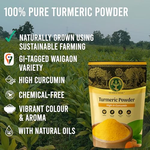 Image of THE HAND OF NATURE GI Tagged Waigaon Turmeric Powder 200g x 1 | High Curcumin Natural Haldi | Pesticide & Chemical Free | Lab-Tested for Purity | Farm Grown Turmeric | Rich in Natural oil