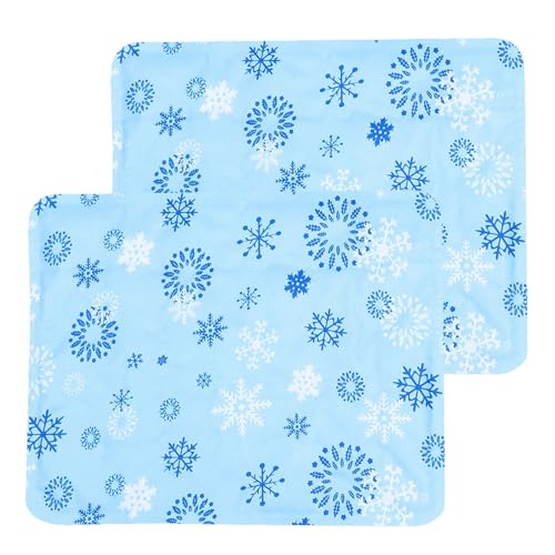 2 Tapis de Refroidissement Buffet Coussins Réutilisables Table
