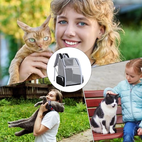Mochila de salida para mascotas: soluciona el estrés del transporte convencional 5
