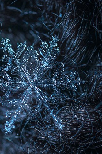 Preisvergleich Produktbild Snowflake Notebook