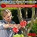 Ginarelo Cordless Mini Chainsaw Battery Small - Handheld Electric Hand Outdoor Power Tools for Cutting Trees Wood Pruning Branch Cutter 6” 2 Batteries with Charger for Garden Men