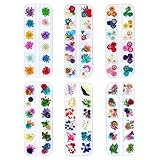 iFancer Dried Flowers for Resin Craft Nail Art Mix Small Mini Dry Flowers (Pack of 6 Boxes, About 260 PCS)