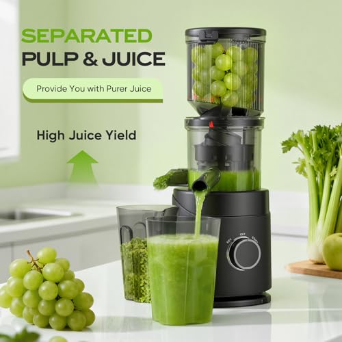 Juicer Machines, 150W Cold Press Juicer with Wide Chute, Slow Masticating Juicers, High Juice Yield for Leafy Greens, Fruits & Vegetables, Easy to Clean - Image 6