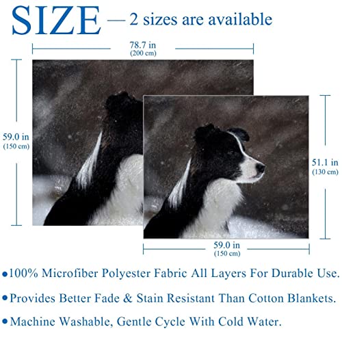Couverture en peluche Border Collie plaid sieste microfibre chaude douce - 4