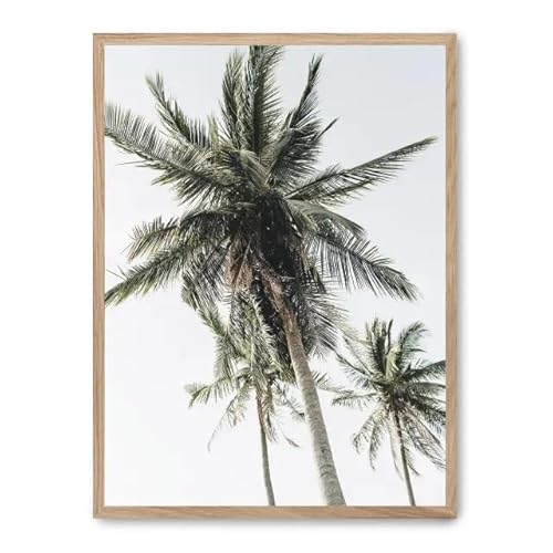 Cuadro Palm Trees From Below Ii_Fase5