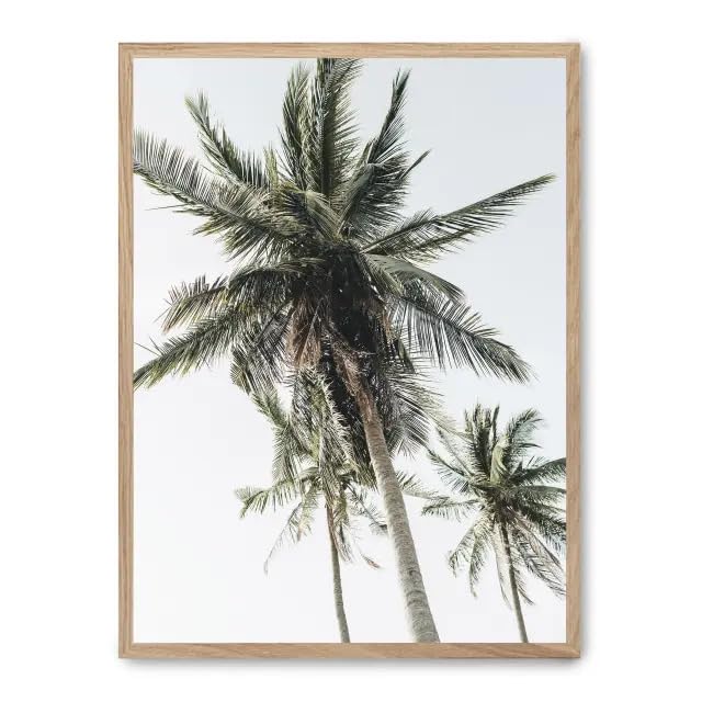 Cuadro palm trees tableau pour agrandir un salon manque de lumière FASE5