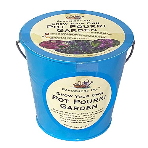 Grow Your Own Pot Pourri (10 Pack) - !!! SALE !!!