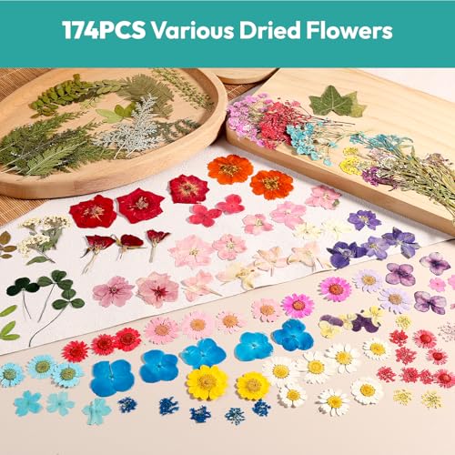 Resiners UV Light & Resiners 174PCS Dried Pressed Flowers miniatura 2
