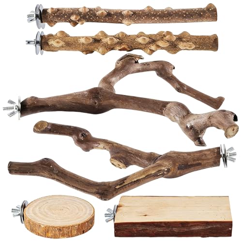 �������̎~�܂�� - 6�{ �V�R�� ������_ | ��^�� �~�܂�� ���p�A�N�Z�T���[ | �̐H�E�ދ������E�^���p �I�E���E�R���S�E�C���R�E�I�J���C���R�E���u�o�[�h�E�t�B���`�E�R���A�[