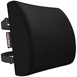 FORTEM Lumbar Support Cushion, Back Support for Office Chair and Car Seat, Back Rest for Gaming, Memory Foam Pillow, Desk Chair Cushion, Breathable & Washable Cover, Adjustable Straps