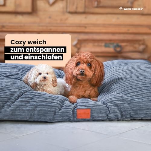 WahreTierliebe® Cozy Hundebett, Premium Hundekissen, Orthopädischer Komfort, Waschbar & Pflegeleicht, Strapazierfähiger Bezug, Perfekt für Zuhause und unterwegs