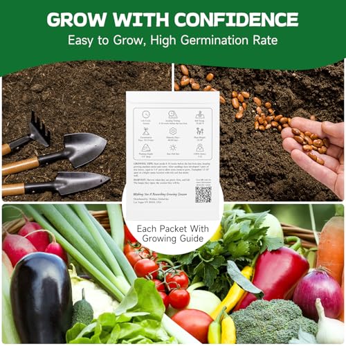 Groundio 40,000+ Heirloom Seeds Kit, 37 Vegetable Seeds Individual Pack - Non GMO for Planting Vegetables, Fruit and Herbs, Outdoor Garden Seeds for Indoor & Outdoor Garden Planting - Image 3
