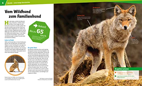 WAS IST WAS Band 11 Hunde. Helden auf vier Pfoten (WAS IST WAS Sachbuch, Band 11)
