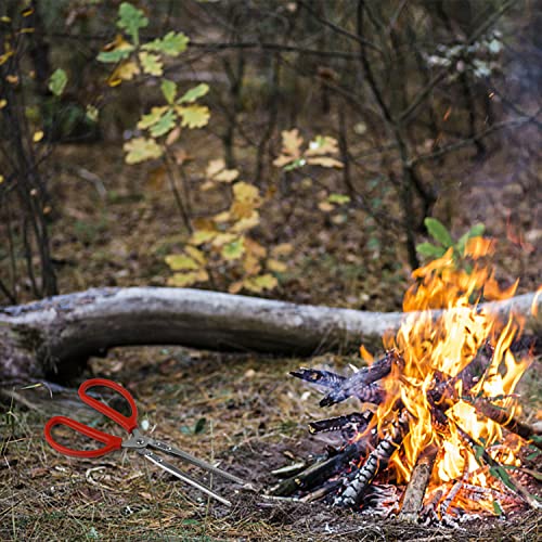 Strumenti Camino, GEBAUM 29 cm Pinza per Camino