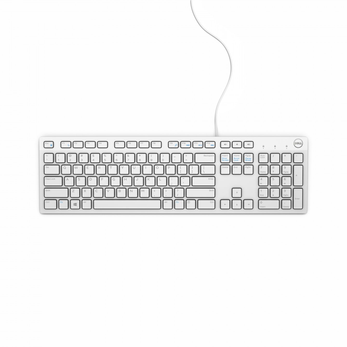 Dell KB216, Wired, Multimedia Tastatur, French (AZERTY), weiß