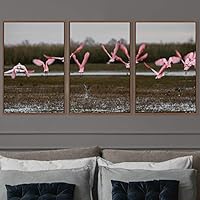 3 Piece Framed Canvas Wall Art Birds Canvas Prints Home Artwork Decoration for Living Room,Bedroom - 16