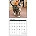 Just Cats 2017 Wall Calendar
