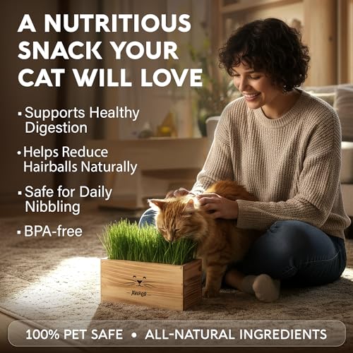 Image of Cat Grass Kit for Indoor Cats - x4 Seed Packets | Cat Grass Seeds with Wooden Planter, Soil & Mini Gardening Tools for Nipping & Nibbling - Pet Wheatgrass Grass