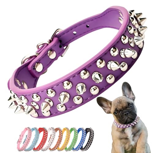 Collier chien piquants pourpre pour petits animaux