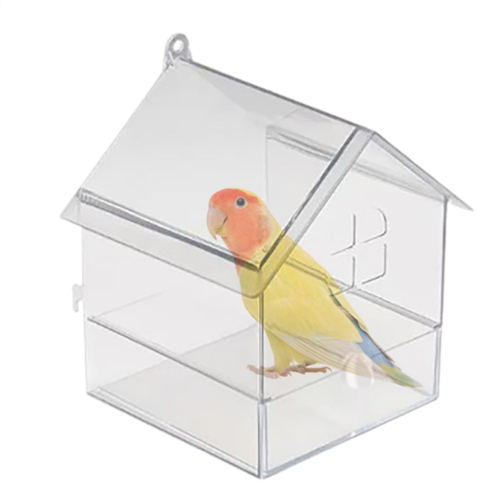 Bain d'oiseaux pour cage avec boîte de douche anti-fuite grand format pour mangeoire